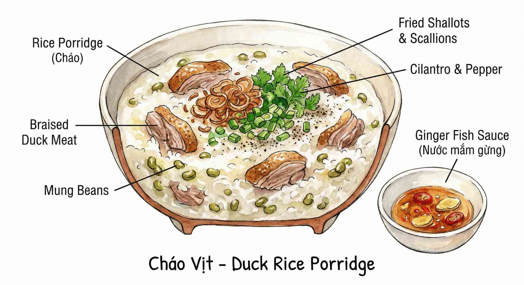 Cháo Vịt ingredients sketch